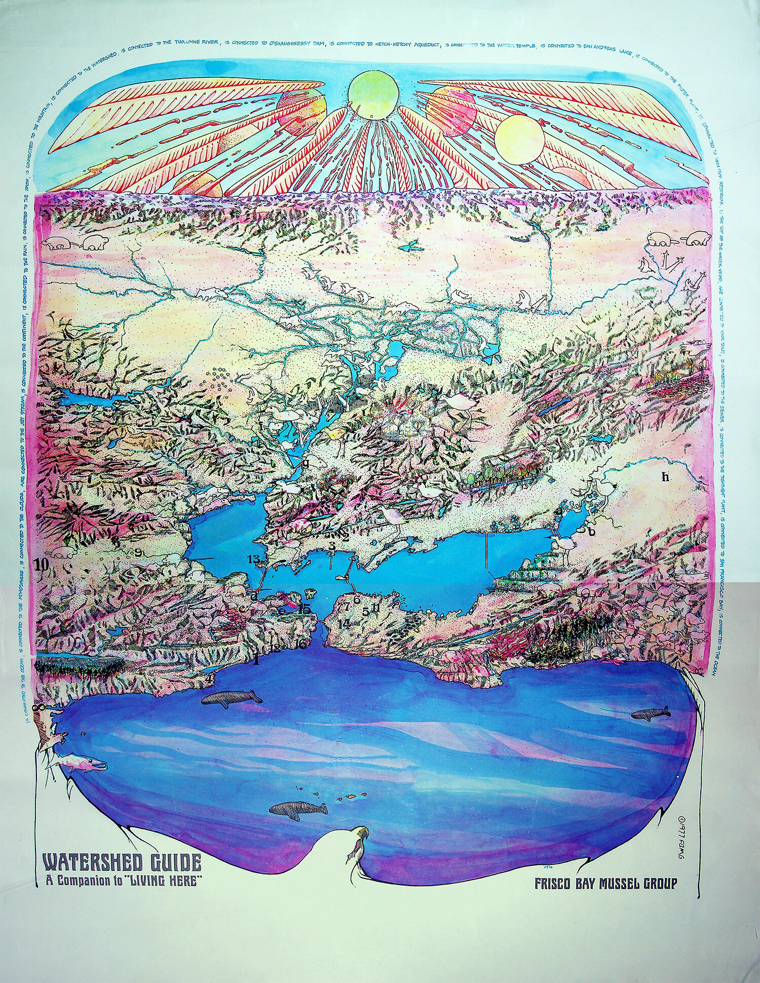   Copyright Judy Goldhaft & Planet Drum Foundation | Dept of Bioregion  