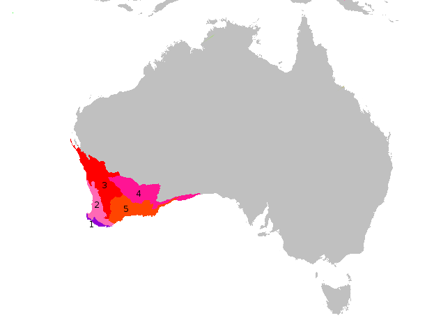 Ecoregions of Southwest Australia, as defined by the WWF. 1. Jarrah-Karri forest and shrublands ; 2. Southwest Australia woodlands ; 3. Southwest Australia savanna ; 4. Coolgardie woodlands ; 5. Esperance mallee .