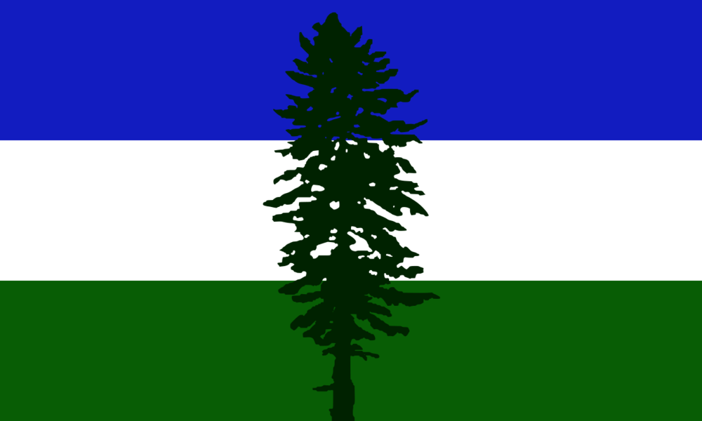 Cascadia Flag 3'x5': MADE IN CASCADIA / Nylon - Outdoor Use