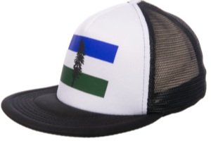 Unisex District® Flat Bill Snapback Trucker Hat