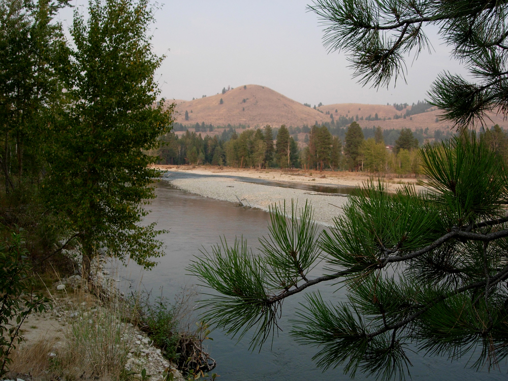  Bitterroot River  