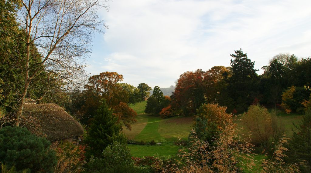 Autumn trees and lawns at Dartington in Devon, England, with a thatched roof at the left edge.