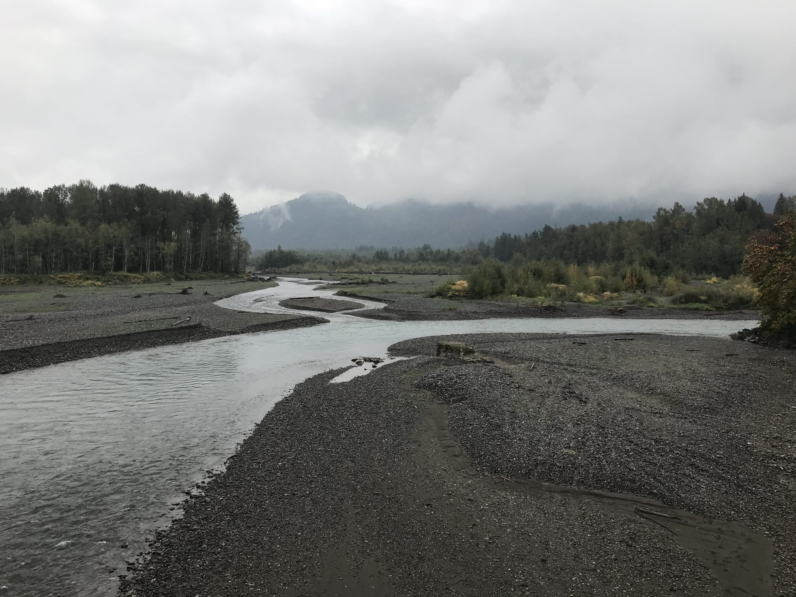 The North Fork Nooksack River braiding through gravel bars under low clouds, with forested hills beyond.